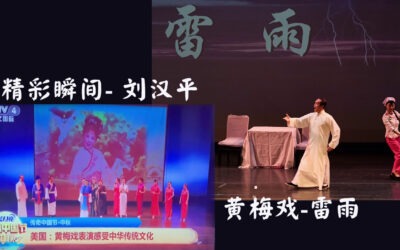 刘汉平黄梅戏演出CCTV报道 侨网最佳节目（CCTV视频+雷雨视频）